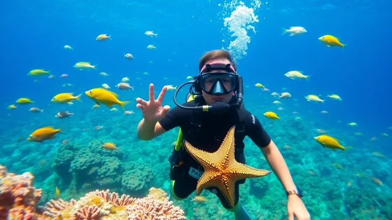 Experience the beauty at PADI Certified dive shops in Belize with vibrant marine life and clear waters.