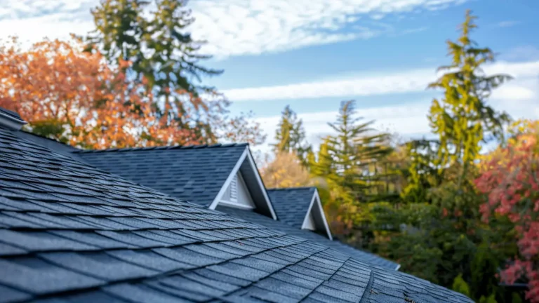 Roofing Vancouver WA: Premium Materials, Lasting Workmanship